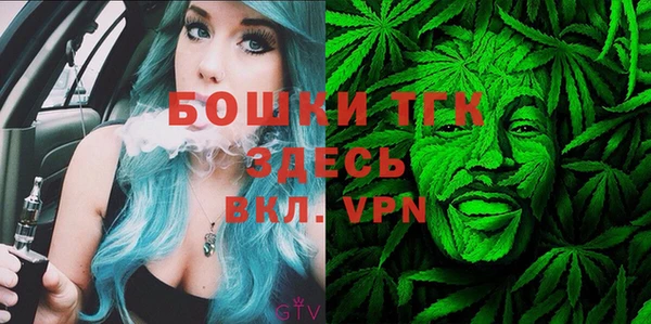 сатива Аркадак