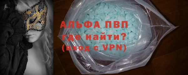 сатива Аркадак