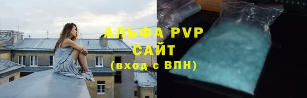 сатива Аркадак