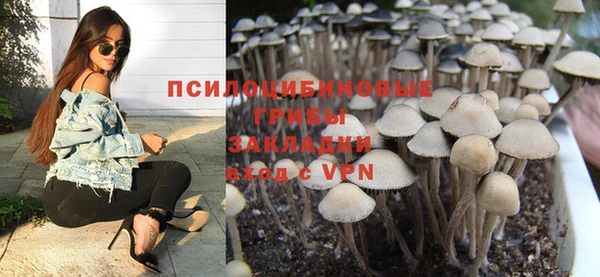 сатива Аркадак
