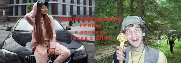 соль ск Алексин