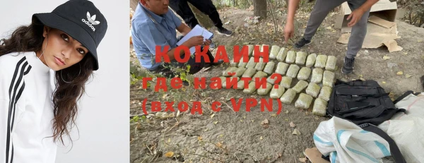 сатива Аркадак
