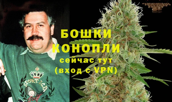 стафф Арсеньев
