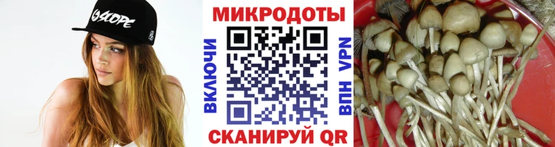 Галлюциногенные грибы мицелий  где продают   Междуреченск 