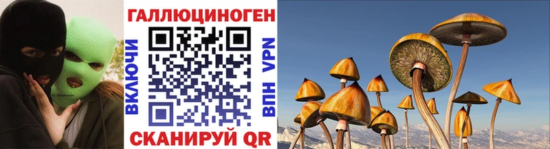 Псилоцибиновые грибы MAGIC MUSHROOMS Междуреченск